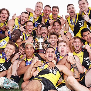 vfl_300_premiership.jpg